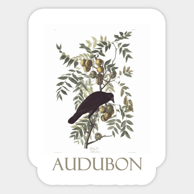 American Crow by John James Audubon Sticker by Naves